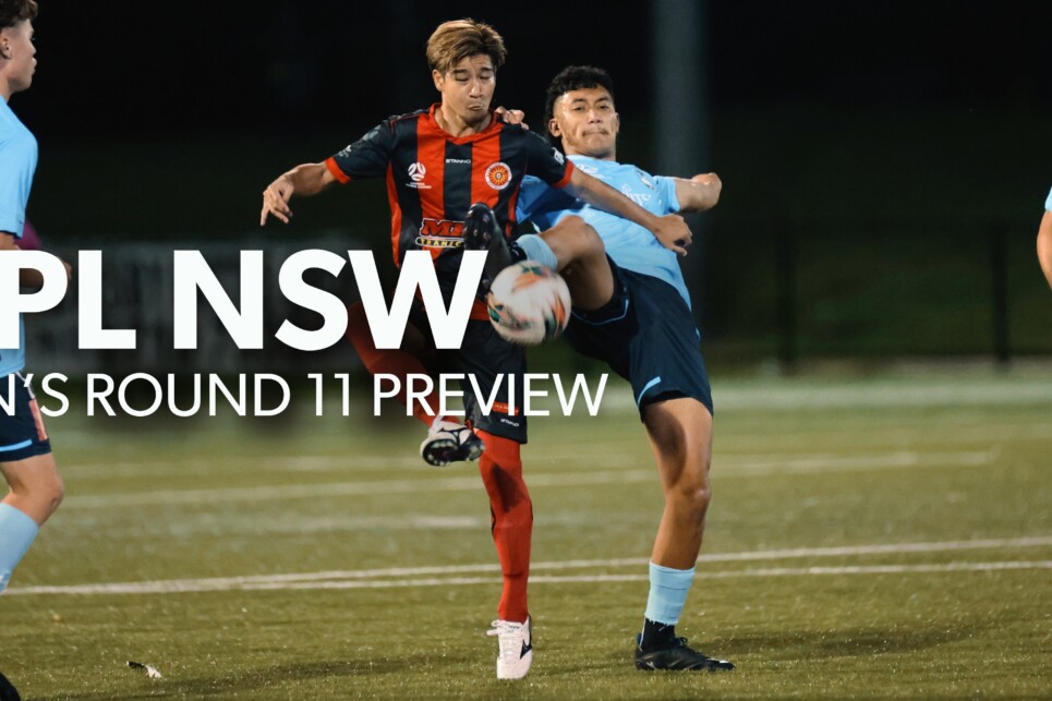 NPLM R11 Preview