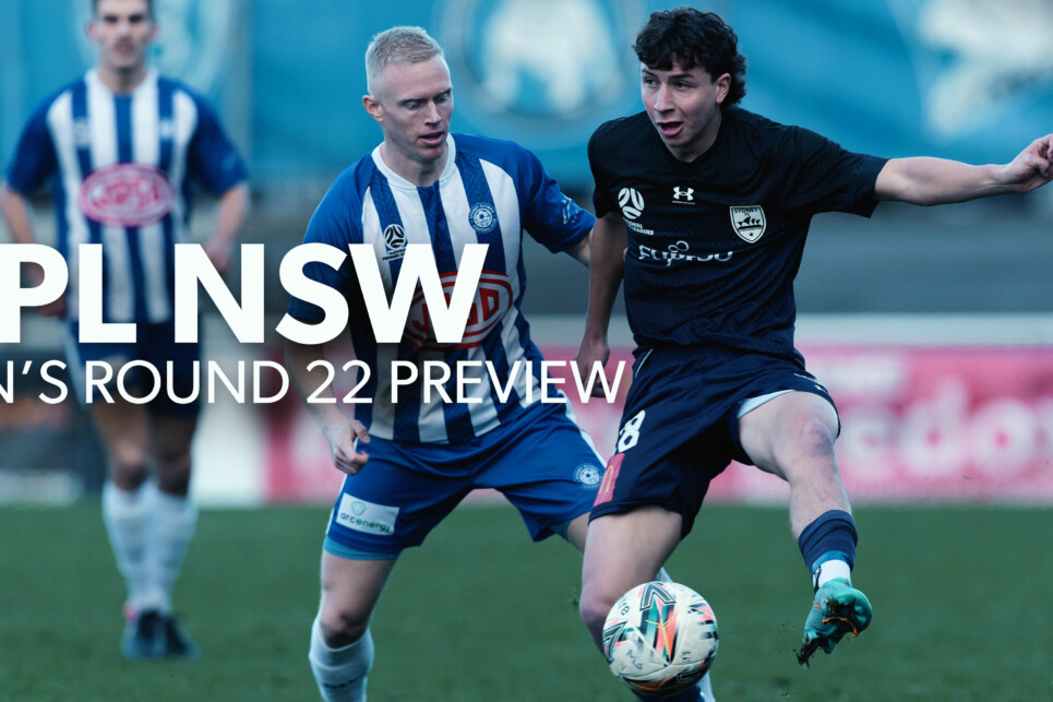 NPLM R22 Preview NPLM R22 Preview