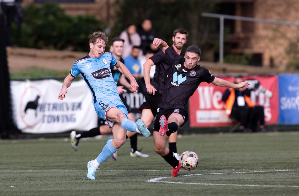 new article banner (1)