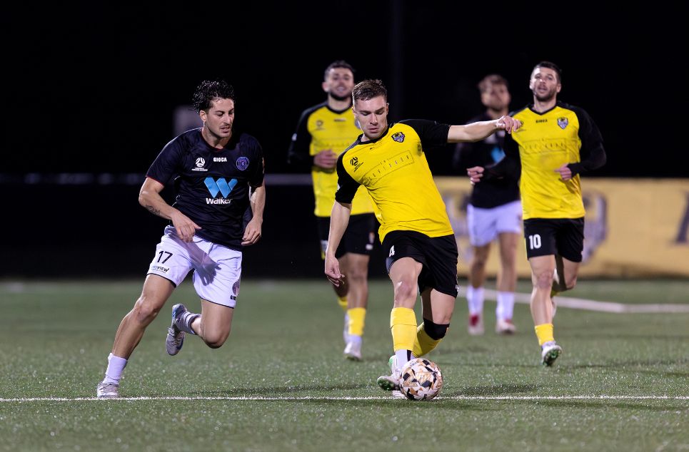 new article banner (1)