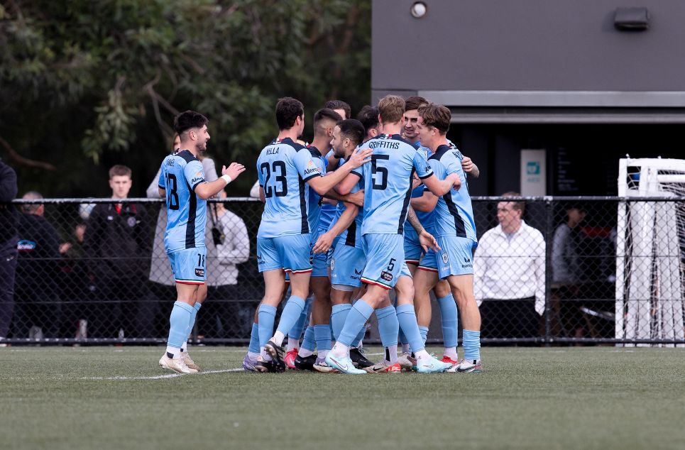 new article banner (2) new article banner (2)