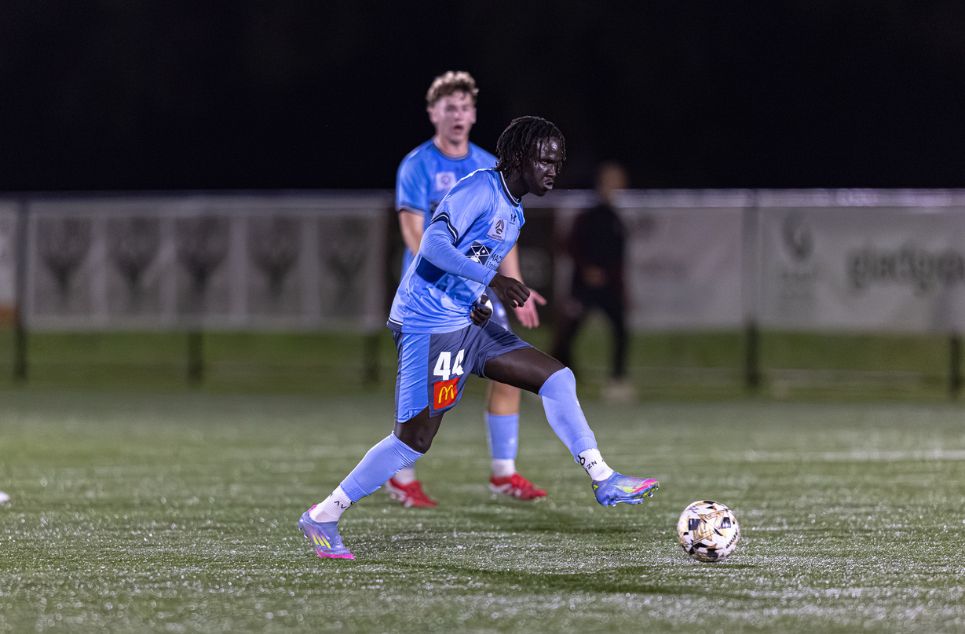 new article banner (1) new article banner (1)