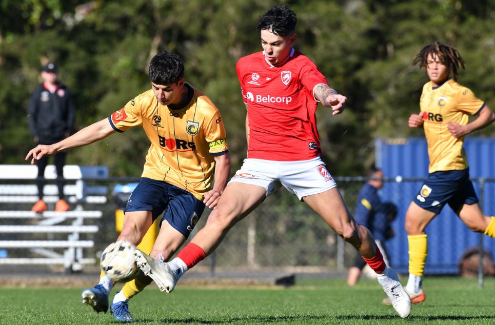 new article banner (2)