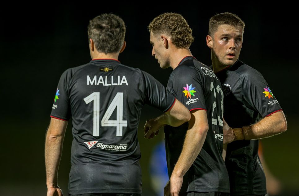 new article banner (3) new article banner (3)