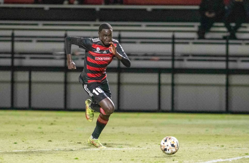 new article banner (2)