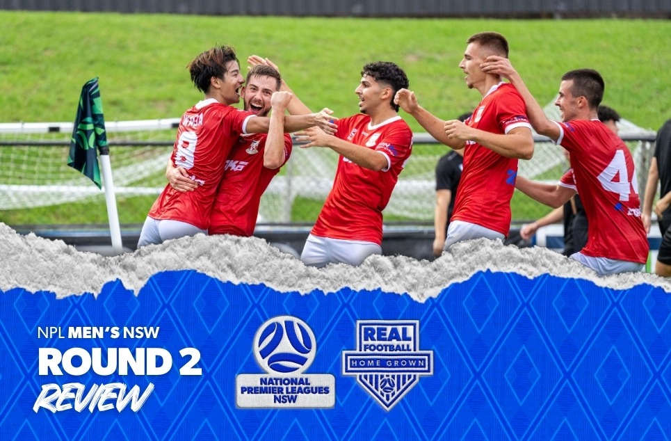 NPL-Review 1 NPL-Review 1