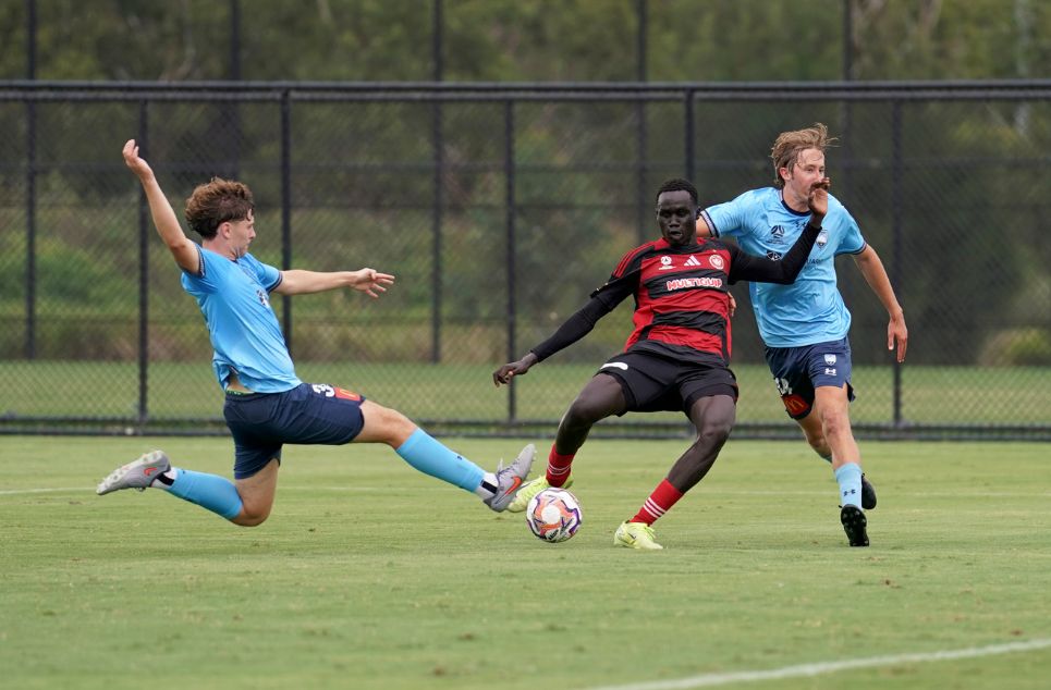 new article banner (1)