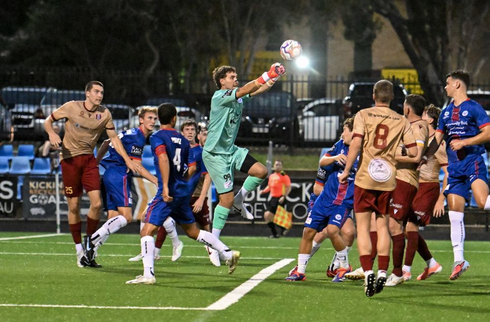 new article banner (1)