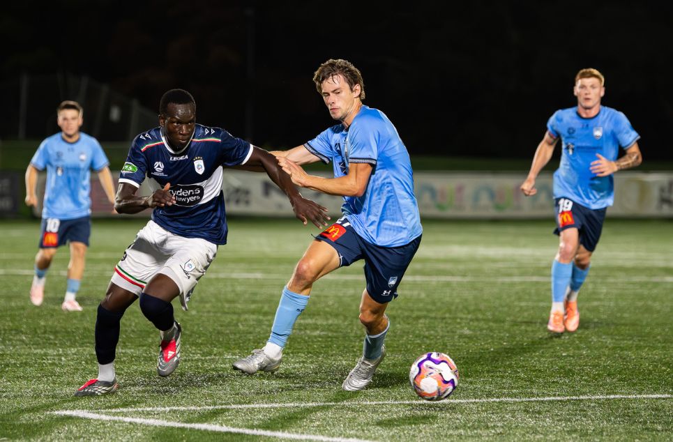 new article banner (1)