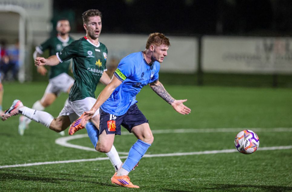 new article banner (3)