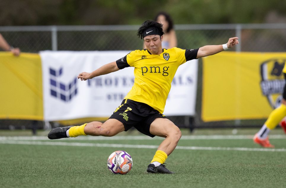 new article banner (3)