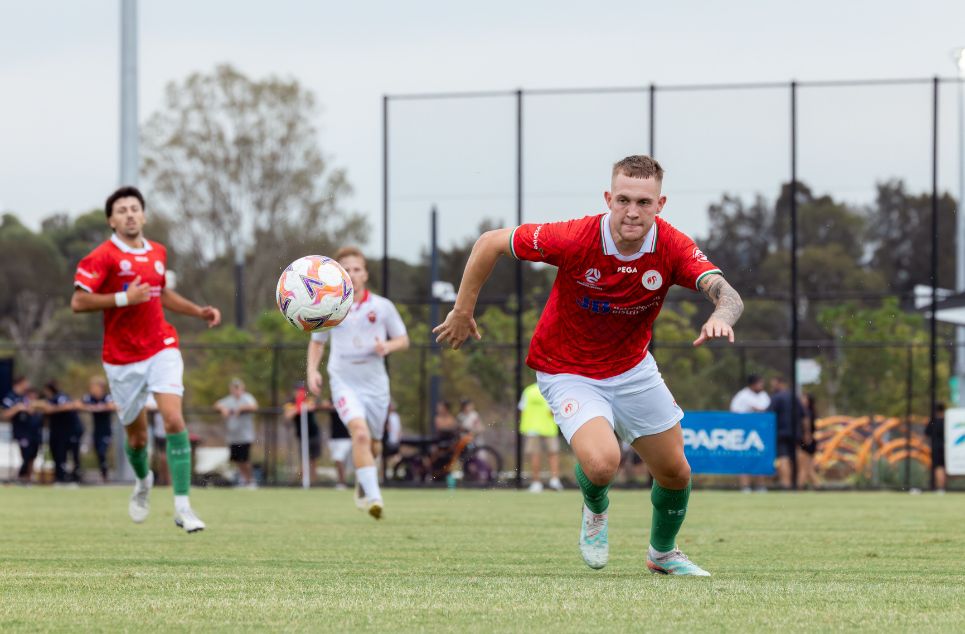 new article banner (3)