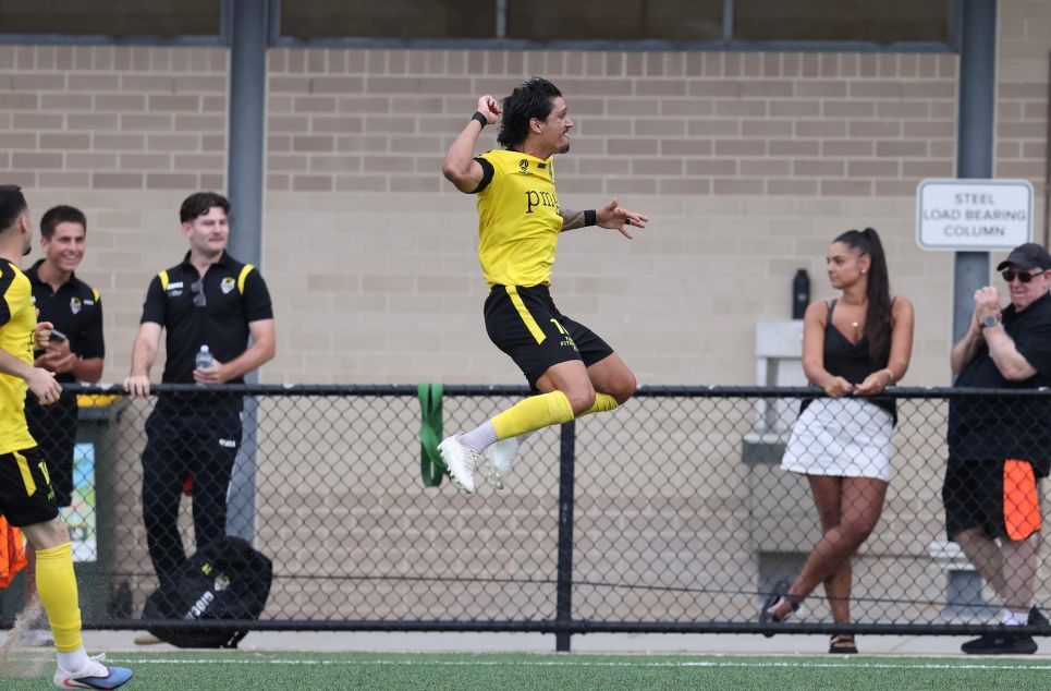 new article banner (3)