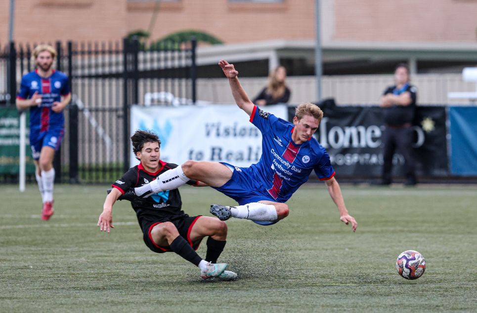 new article banner (4)