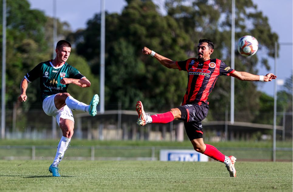 new article banner (4)