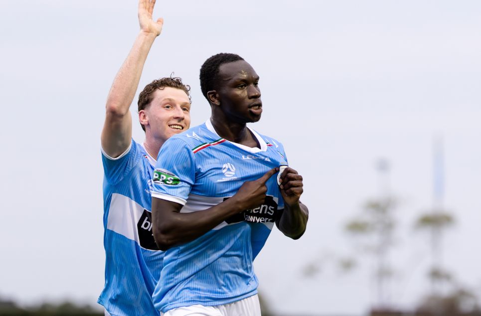 new article banner (4)