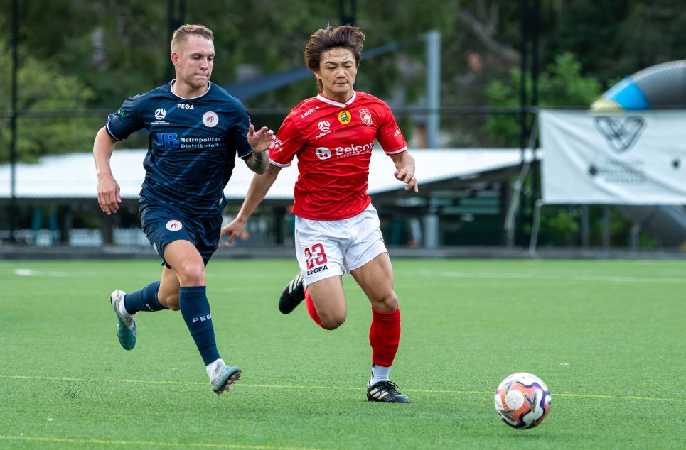 new article banner (5)