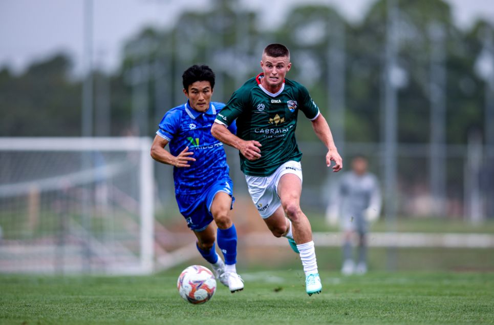 new article banner (6) new article banner (6)