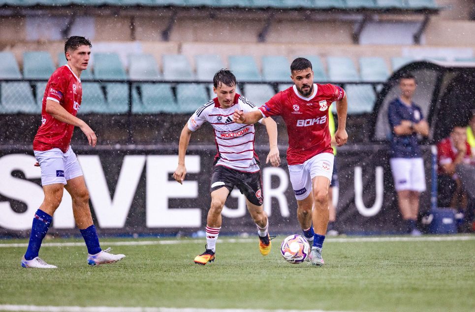 new article banner (6)