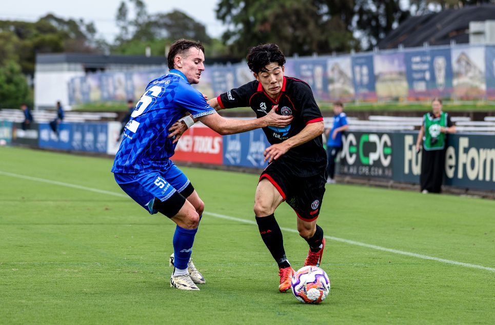 new article banner (7)