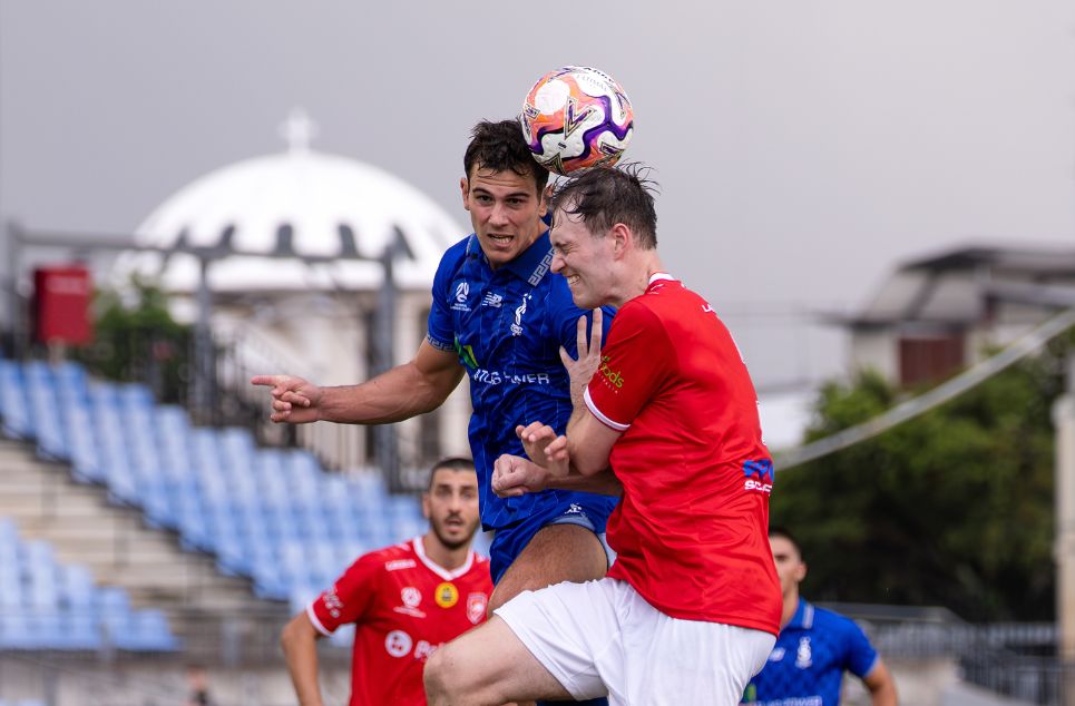 new article banner (8)