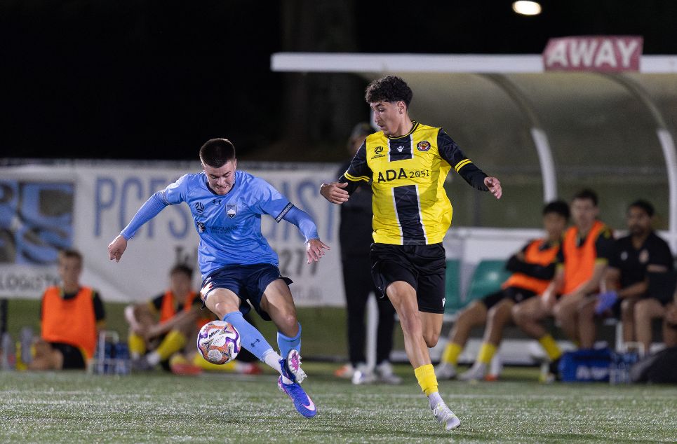 new article banner (1)