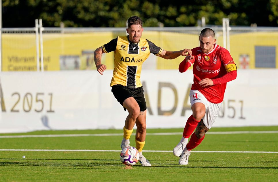 new article banner (1)