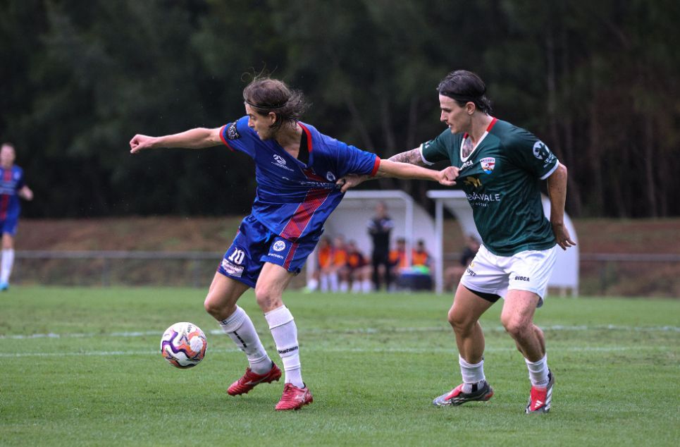 new article banner (2)