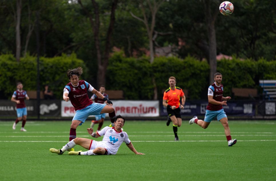 new article banner (3)