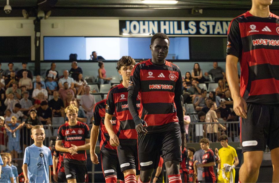 new article banner (3)