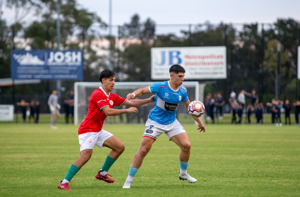 new article banner (3)