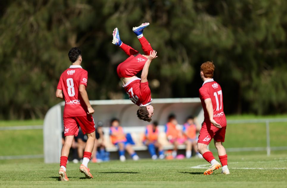 new article banner (3)