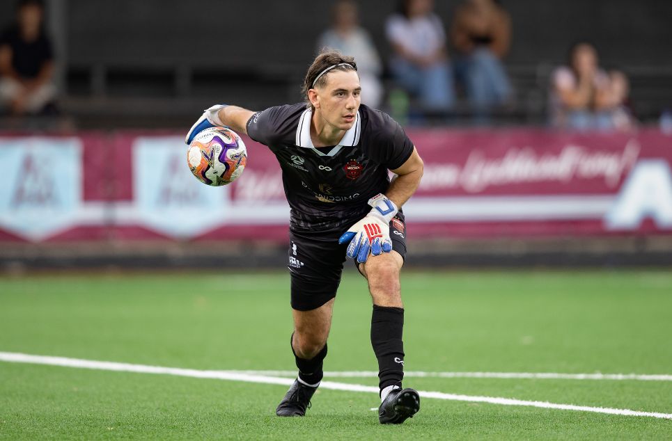 new article banner (4) new article banner (4)