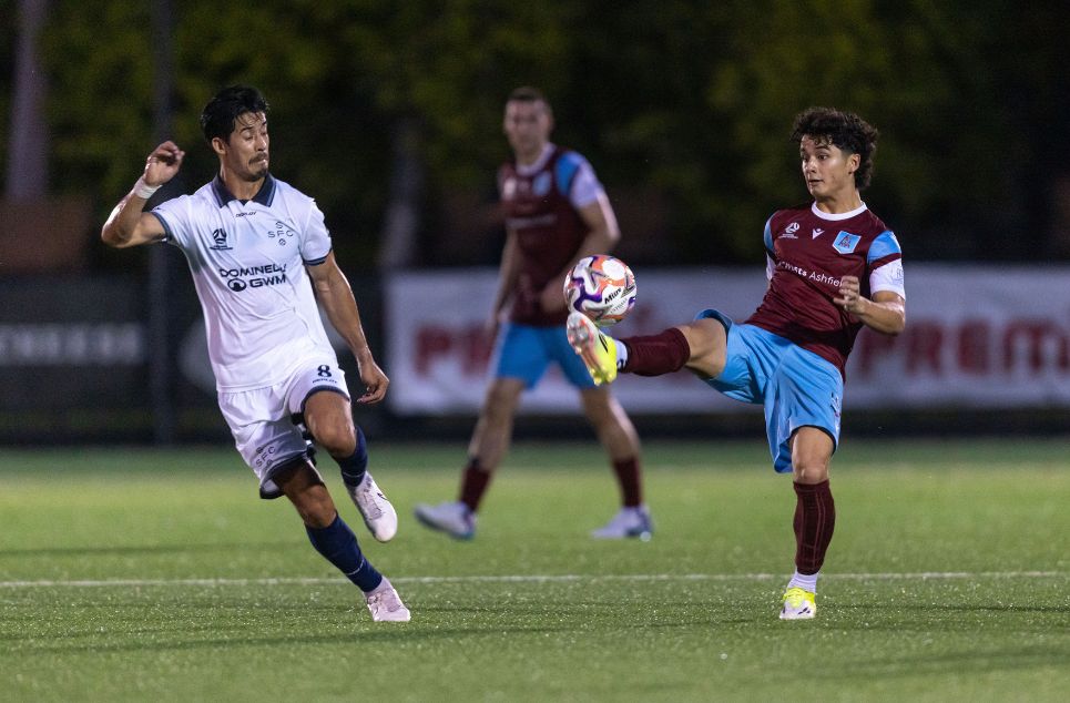 new article banner (4)