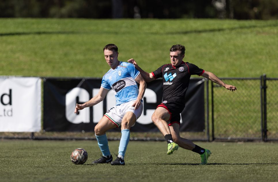 new article banner (5) new article banner (5)