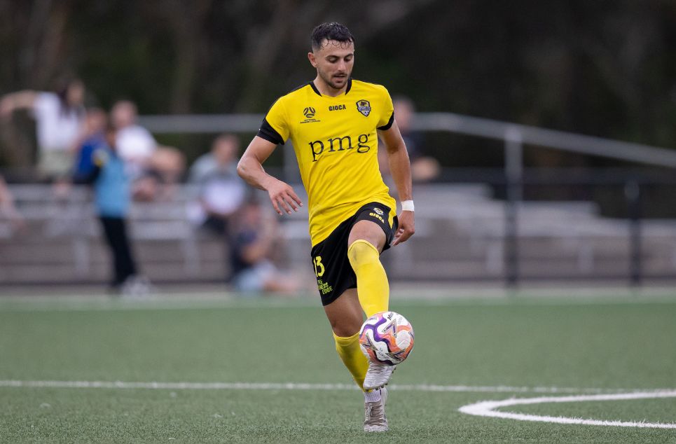 new article banner (5)