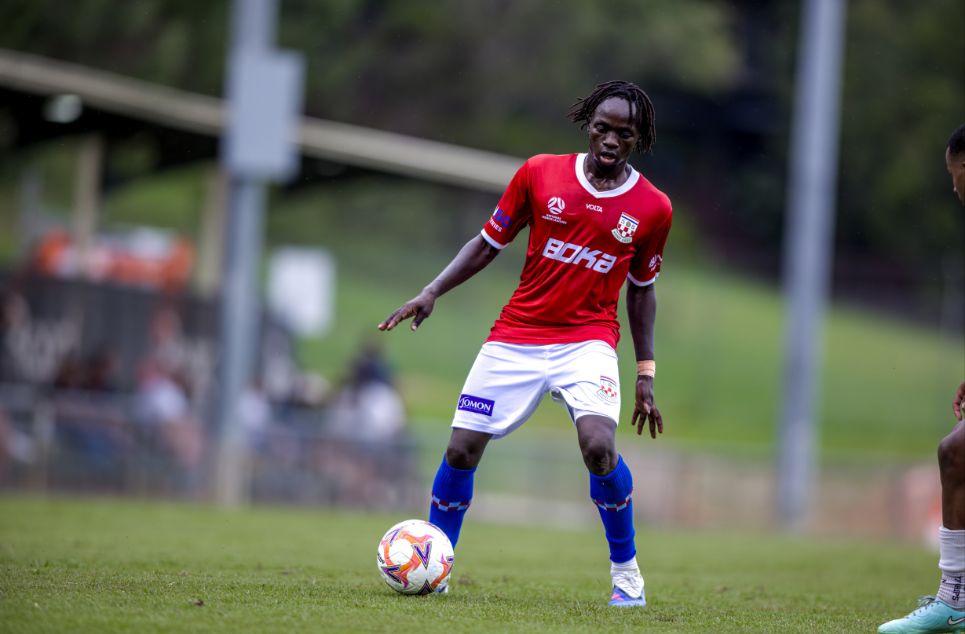 new article banner (6)