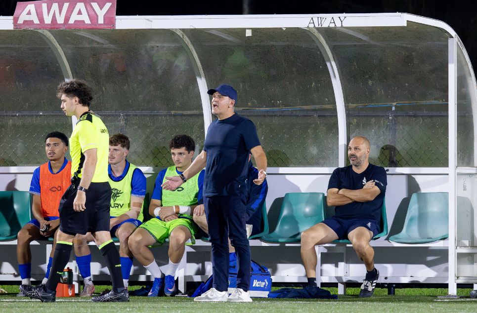 new article banner (1) new article banner (1)