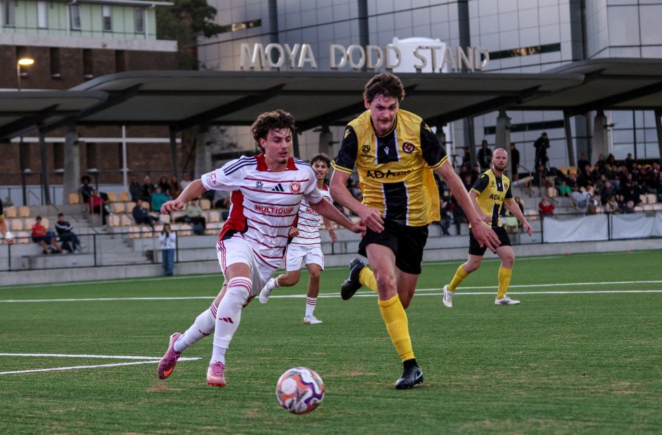 new article banner (1)