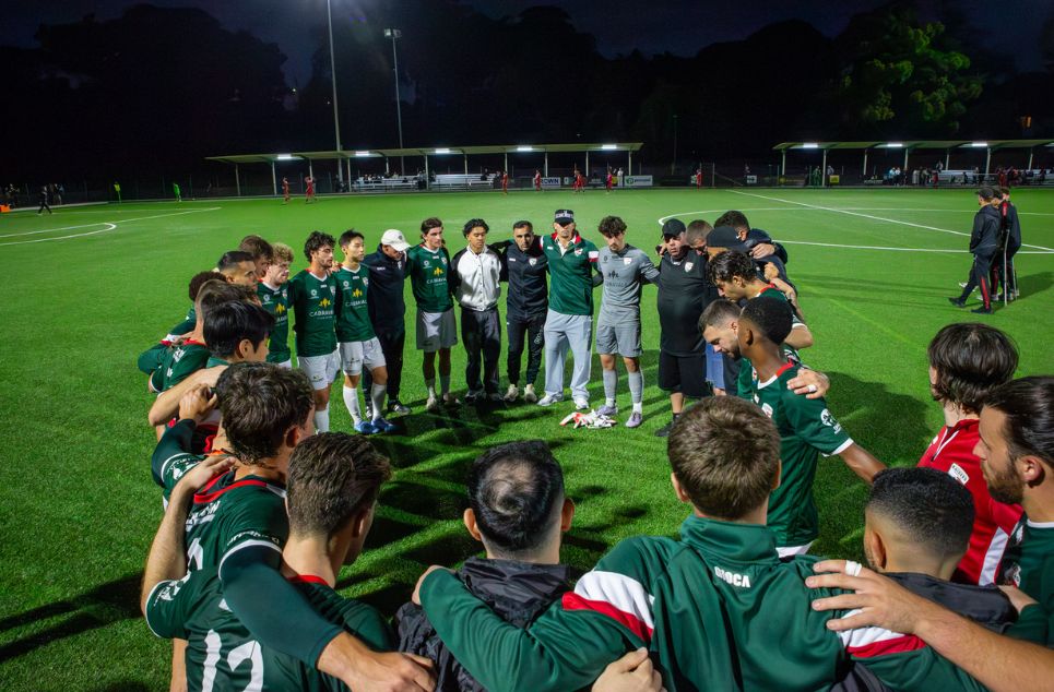 new article banner (2)