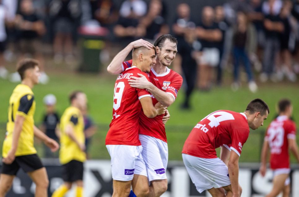 new article banner (2)