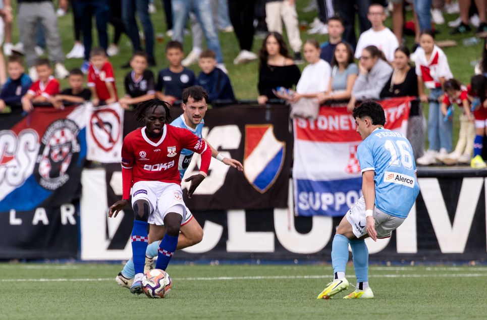 new article banner (3)