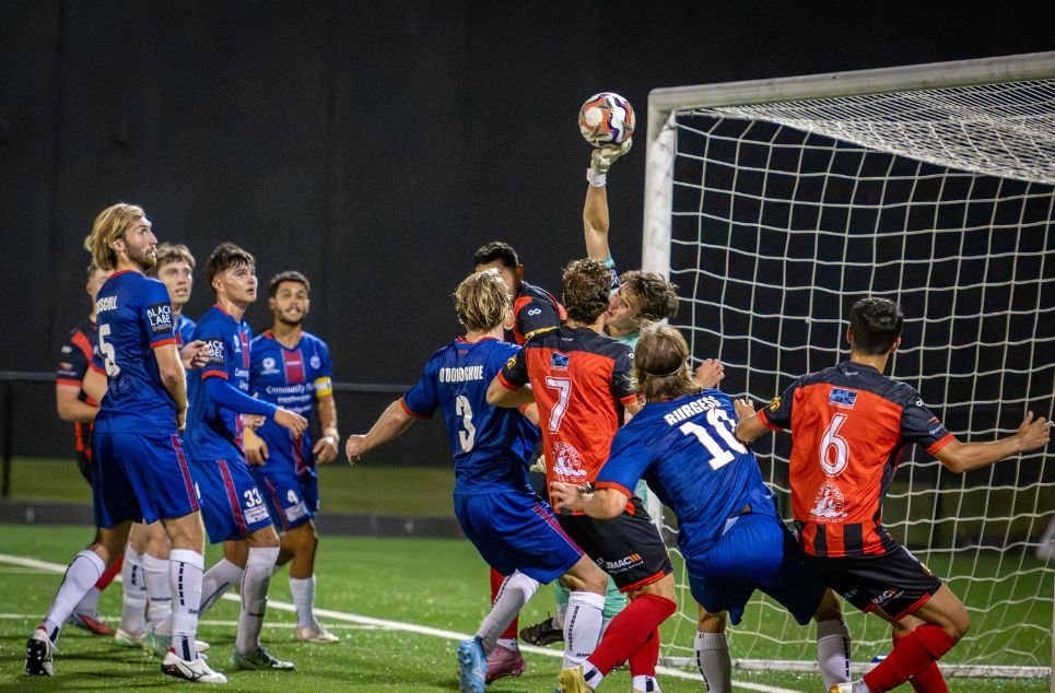 new article banner (3)