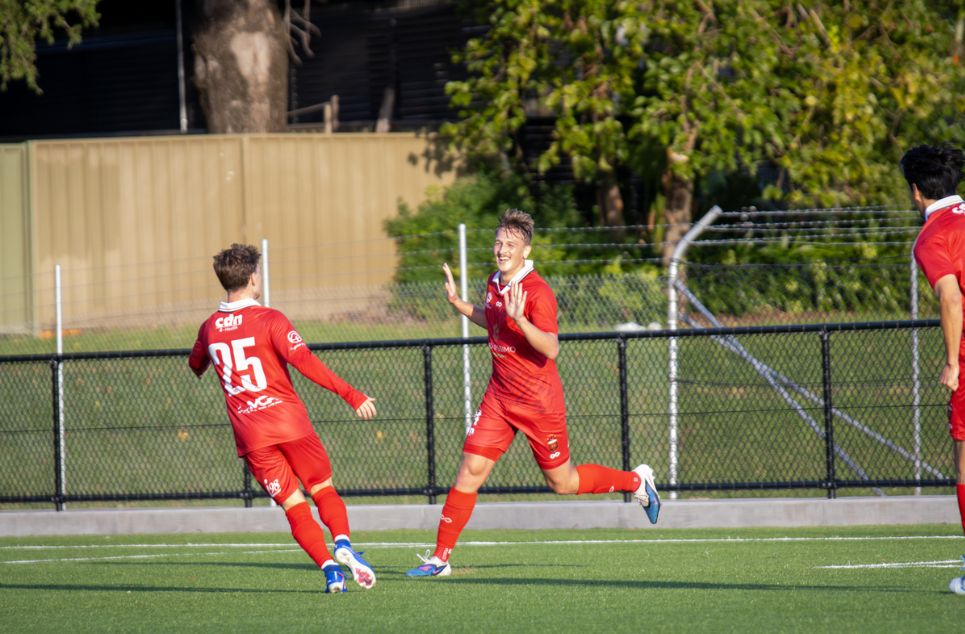 new article banner (4)