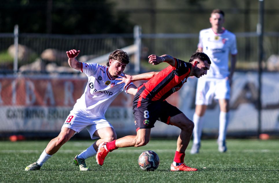 new article banner (4)