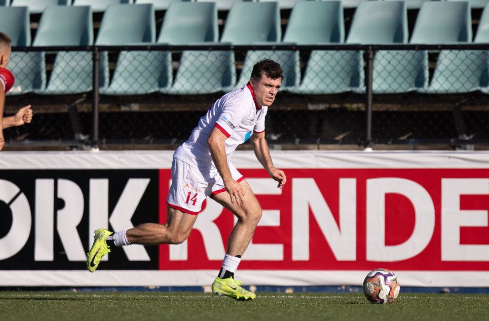 new article banner (5)